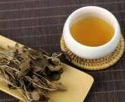 金線蓮泡茶一次放幾根？
