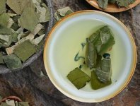 荷葉茶為什么叫短命茶？